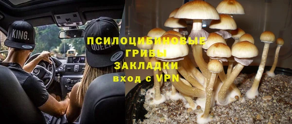 прущий лед Михайловск