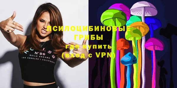 apvp Михайлов