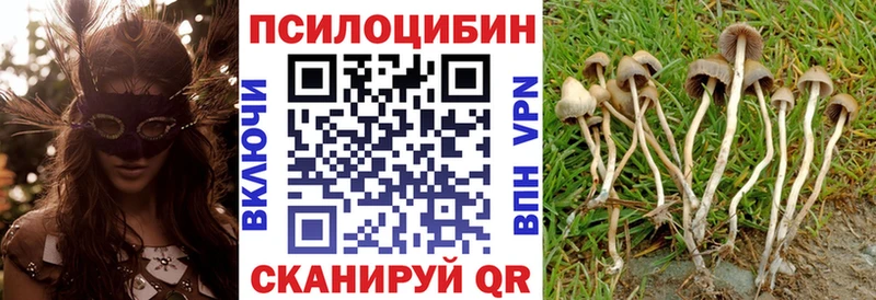 Галлюциногенные грибы Magic Shrooms  наркота  Каспийск 